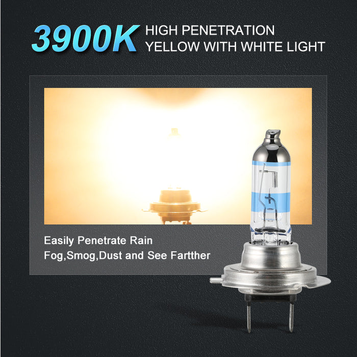 2× 100W H1 H7 H8 H11 9005 HB3 9006 HB4 HeadLight HOD Xtreme Lamp 3900K Xenon White Blue Glass Replacement Car Halogen Light Bulb